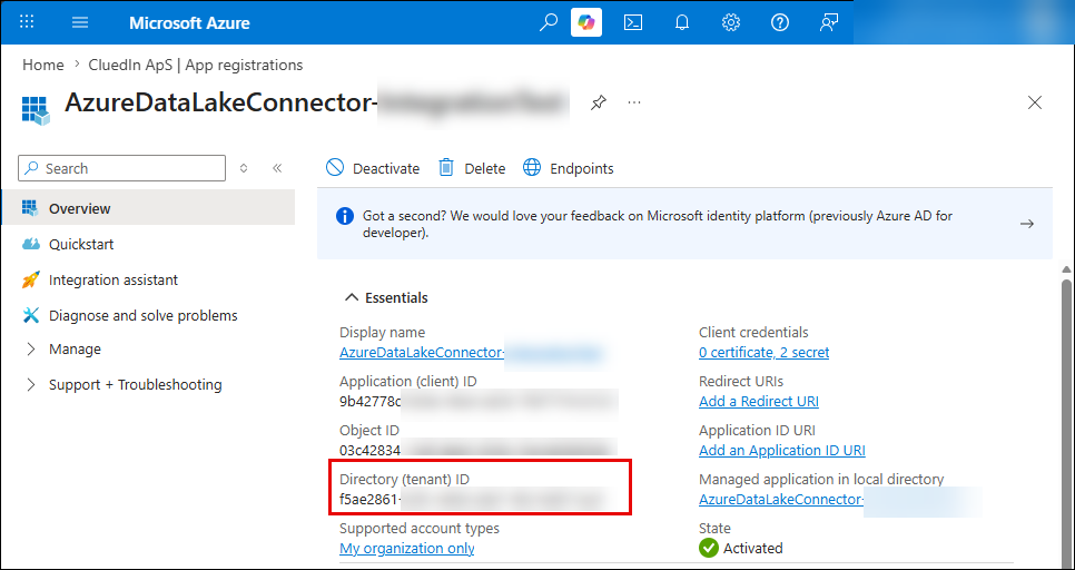 Azure portal app registration Overview page with the Directory (tenant) ID highlighted in the Essentials section